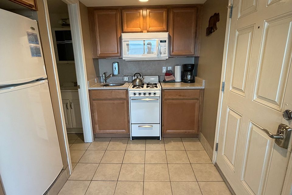 Kitchen in a lake-view studio, Unit S