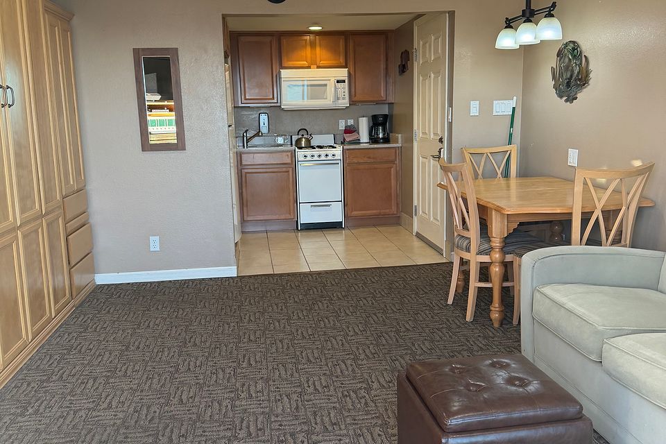 Studio kitchen and living area, Unit S